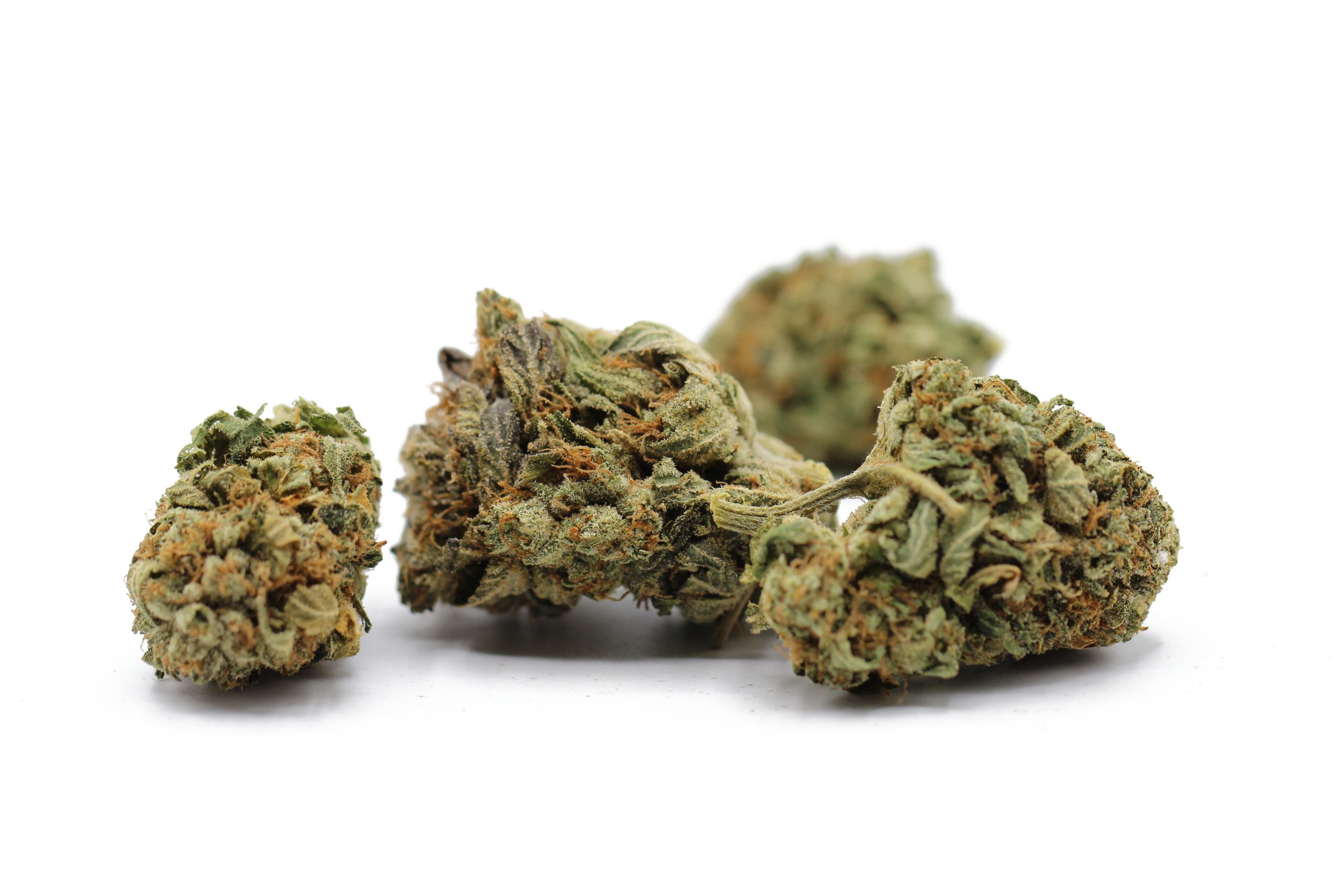 Tropicana Punch (AAAA+) $6.25/gram - Image 2