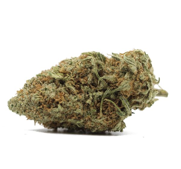 North Indian (AA+)  $2.92/gram