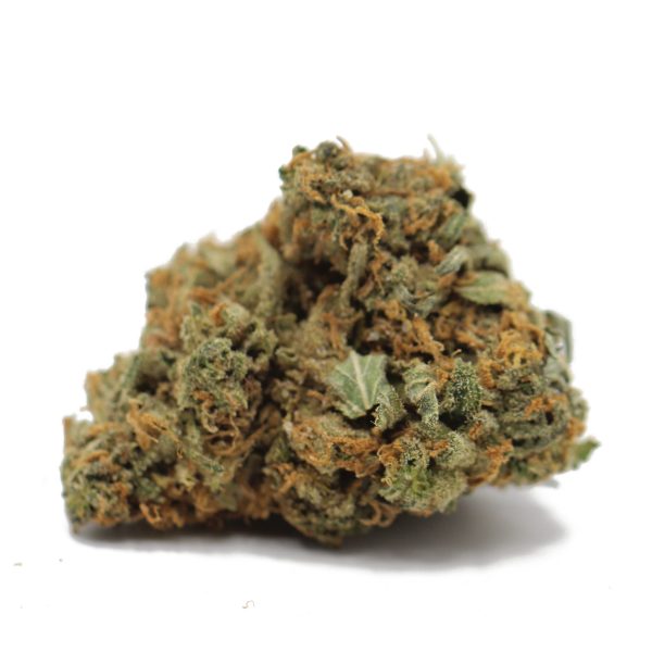 Comatose (AA) $2.10/gram