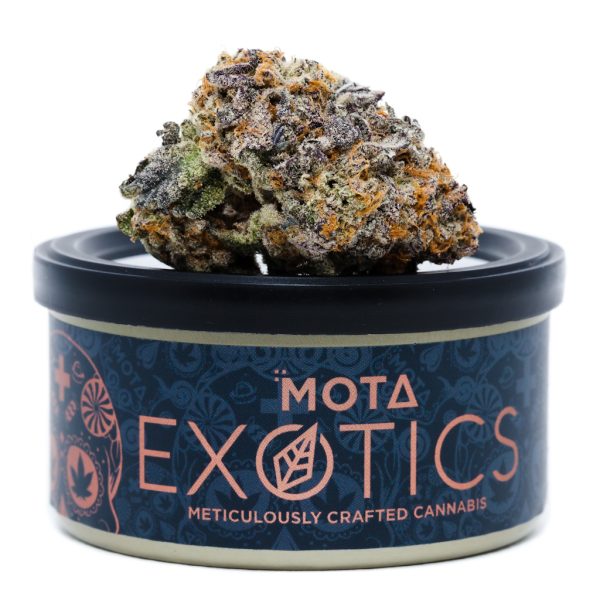 Mota Exotics The Drip - 3.5g