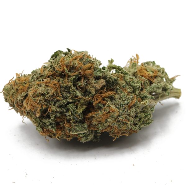 Jack Herer (3)