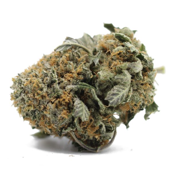 Yogurt Gelato (AAAA+) $6.07/gram