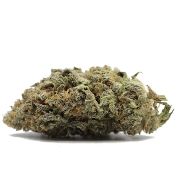 Gelato (AA+) $2.86/gram