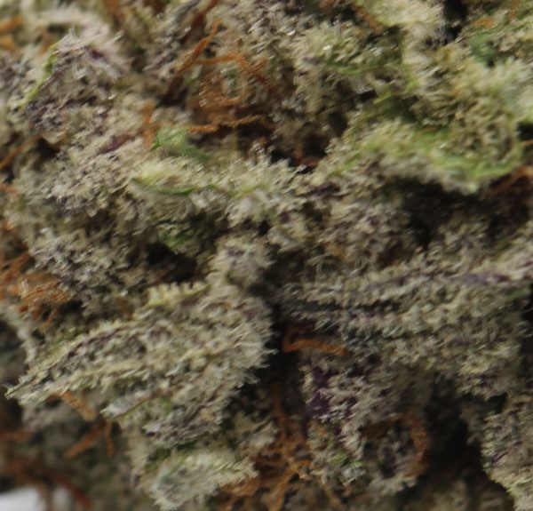 Purple Candy (1)