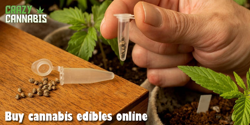 buy cannabis edibles online