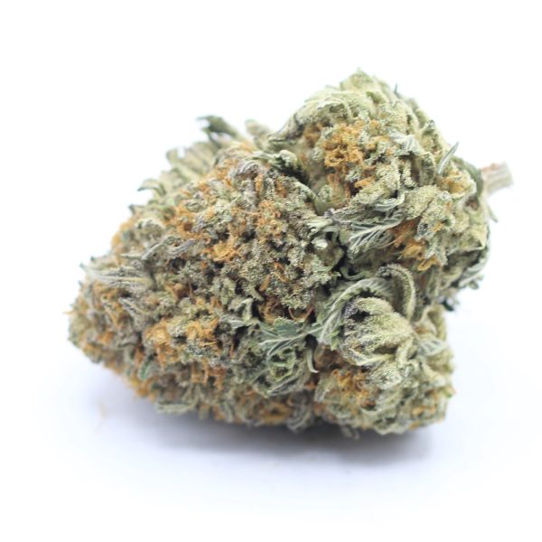 Comatose (AA) $2.89/gram