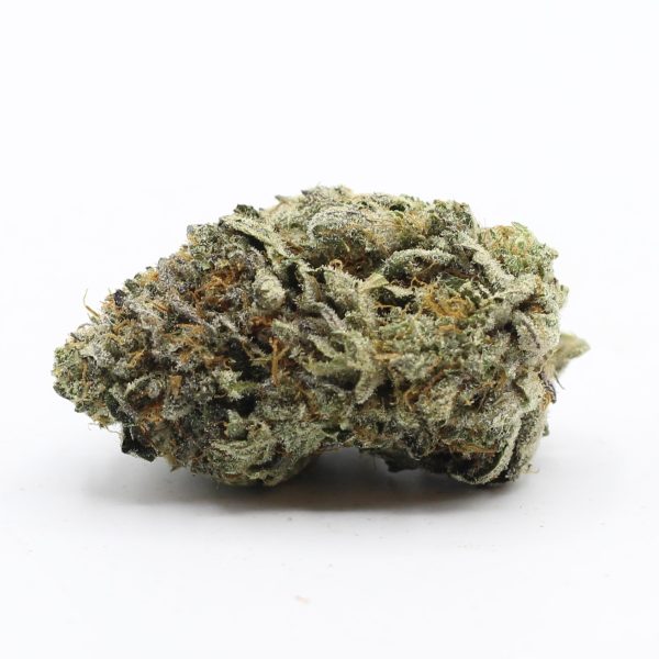 Gelato Dosido (AAAA+ Craft) - $7.50/gram