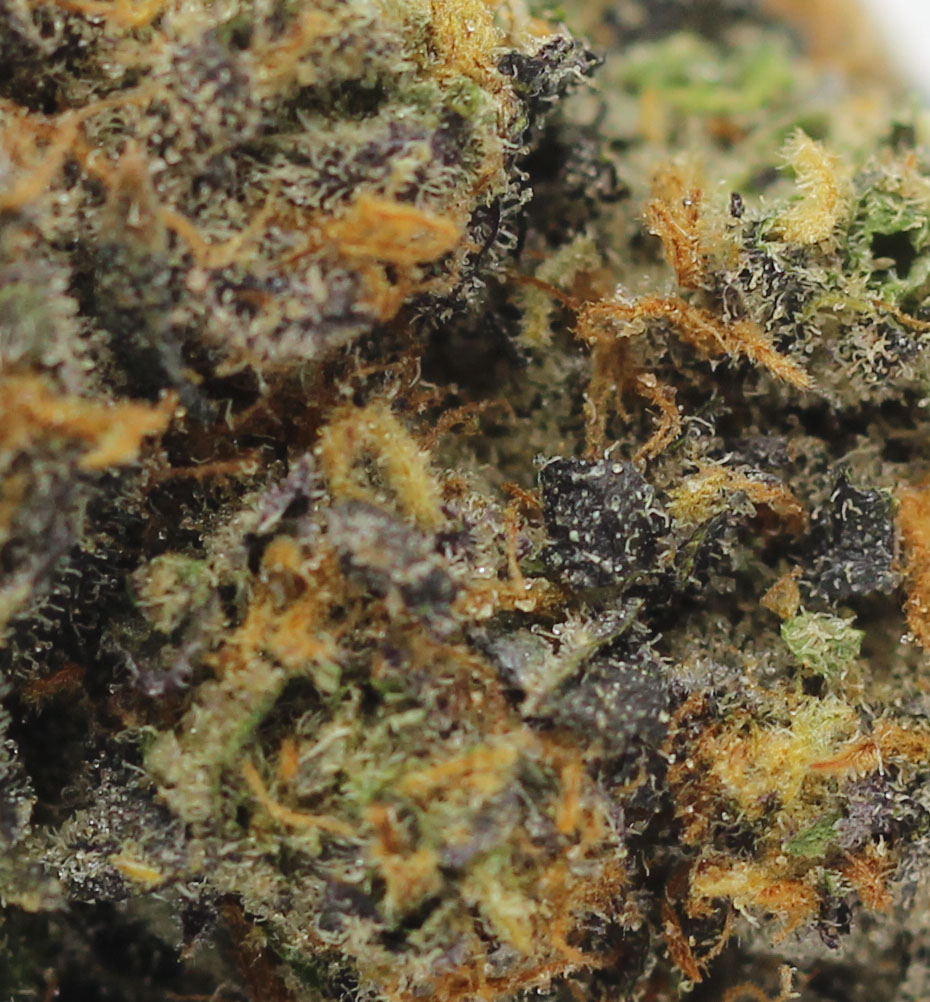 Durban Sunrise (AAAA+) $6.07/gram - Image 2