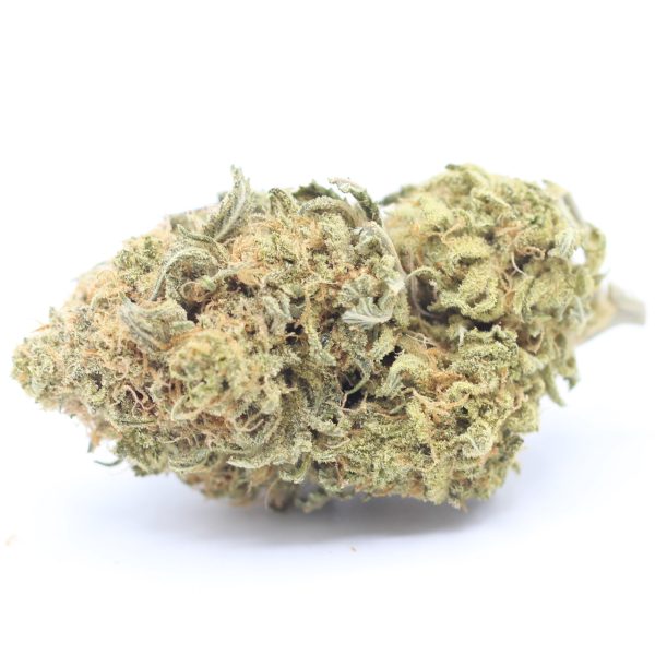 Violater (AA) $2.17/gram