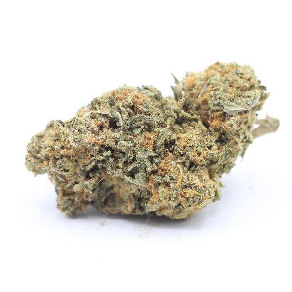 Comatose (AA) $1.96/gram