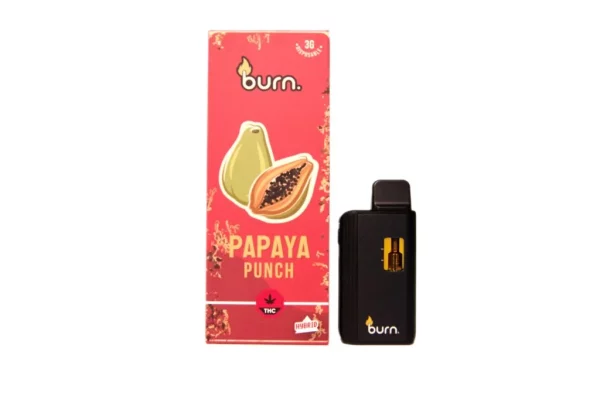 Burn 3 Gram – Disposable - Papaya Punch (Hybrid)