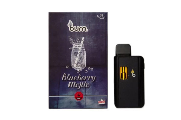 Burn 3 Gram – Disposable - Blueberry Mojito (Sativa)