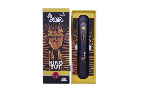 Burn 2 Gram – Disposable - King Tut (Sativa)