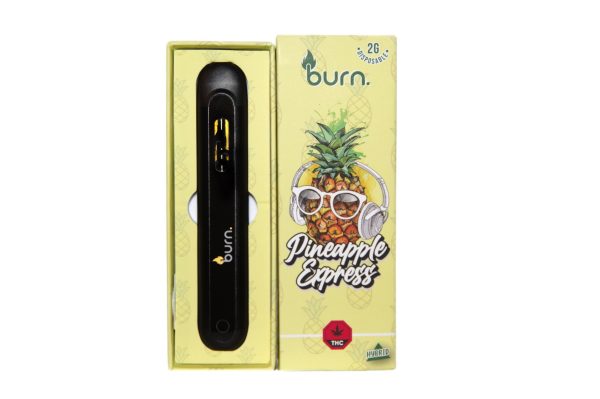 Burn 2 Gram – Disposable - Pineapple Express (Sativa)