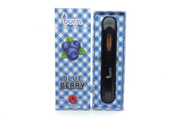 Burn 2 Gram – Disposable - Blueberry  (Indica)