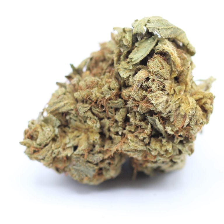 Tangerine (AA) 2.18/gram Crazycannabis Online Dispensary Canada