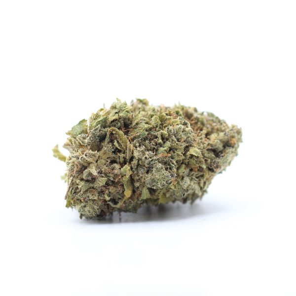 Purple Afghani (AA) $2.25/Gram