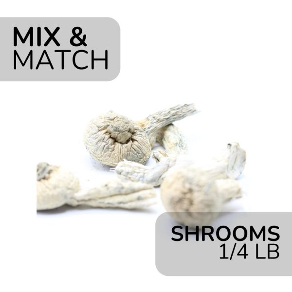 Mix and Match Mushrooms 1/4 lb