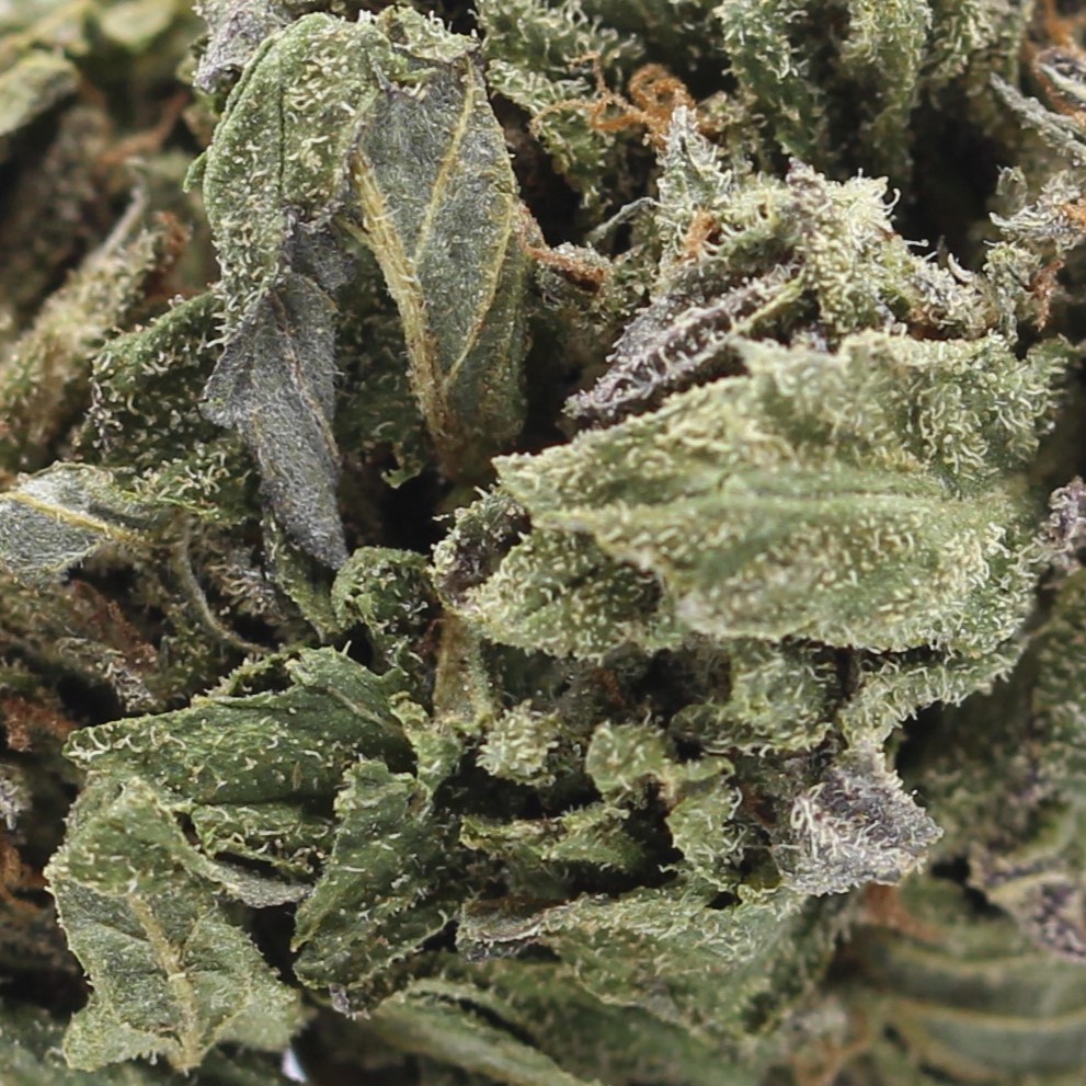 Saint OG Smalls (AAAA) $3.57/gram - Image 2