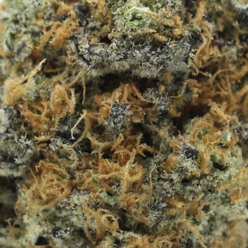 Acapulco Gold (AAA) $3.54/gram - Image 2