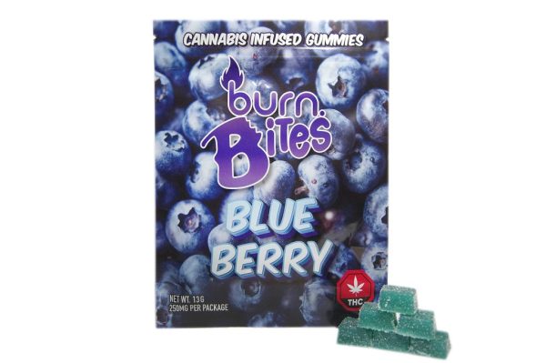 Burn Bites - Blueberry (250MG)