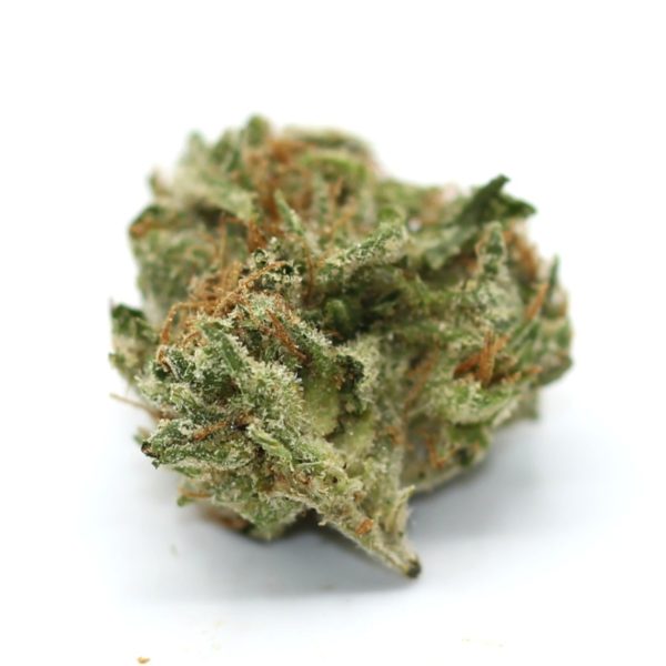 Skunk Popcorn (AA+) $2.64/gram