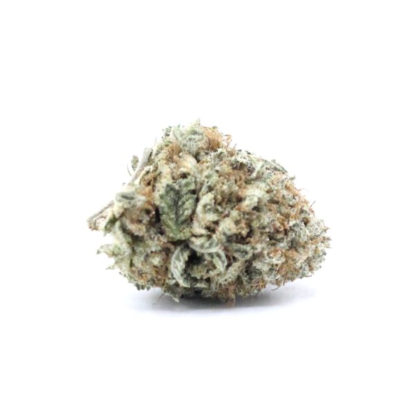 Gary (AA+) $2.71/gram