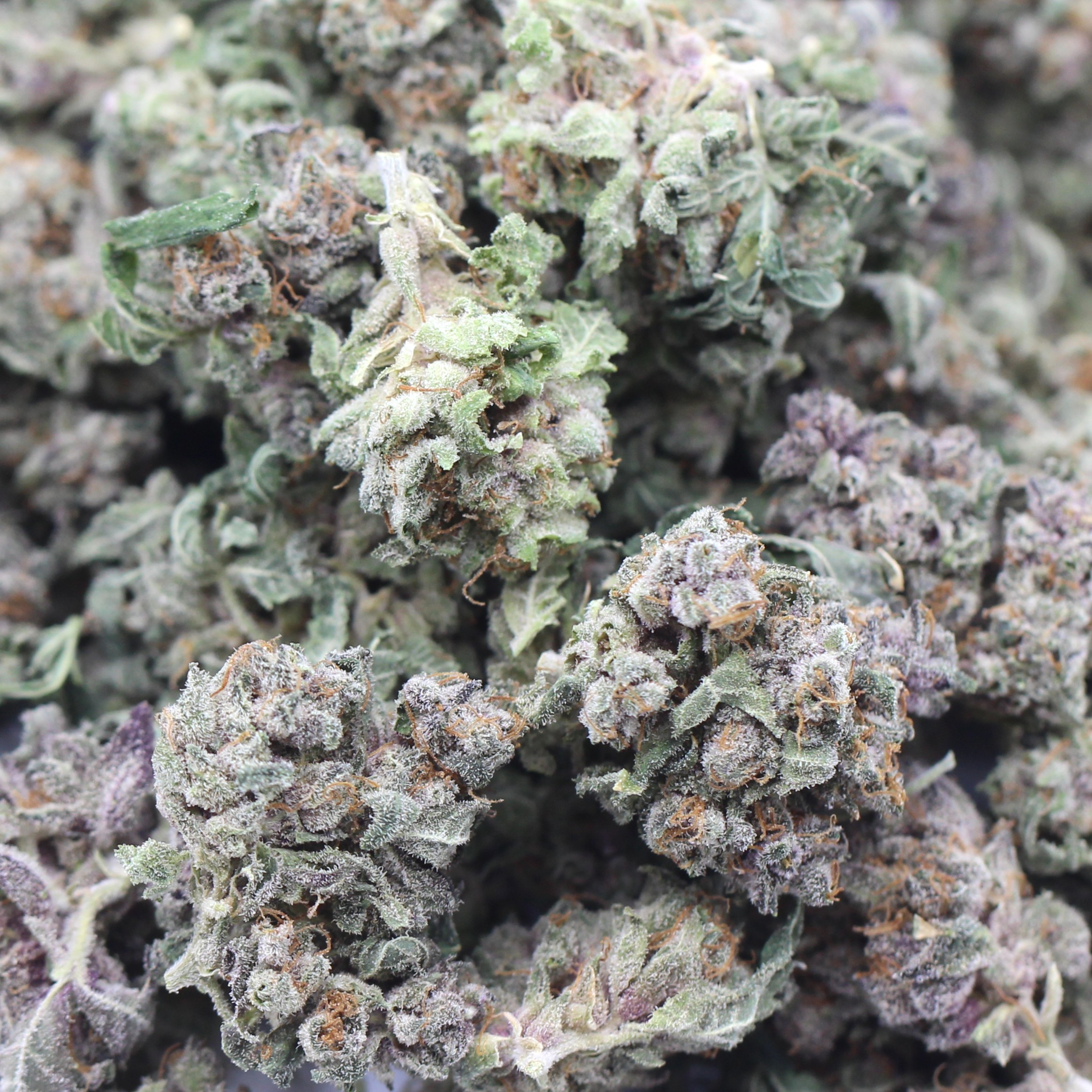 Cherry Bomb Smalls (AAAA) $3.71/gram - Image 2