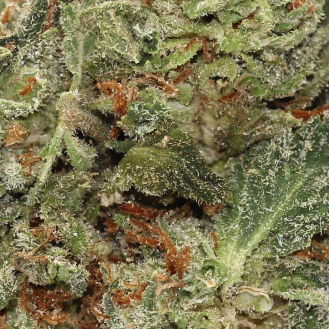 Cookie Crumb - $3.03/gram (AA+) - Image 2