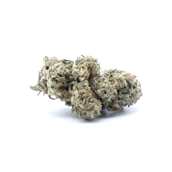 Sugarcane (AA+) $2.96/gram