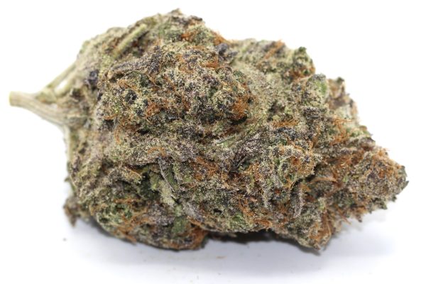 Blue Lobster (AAA) $3.75/gram