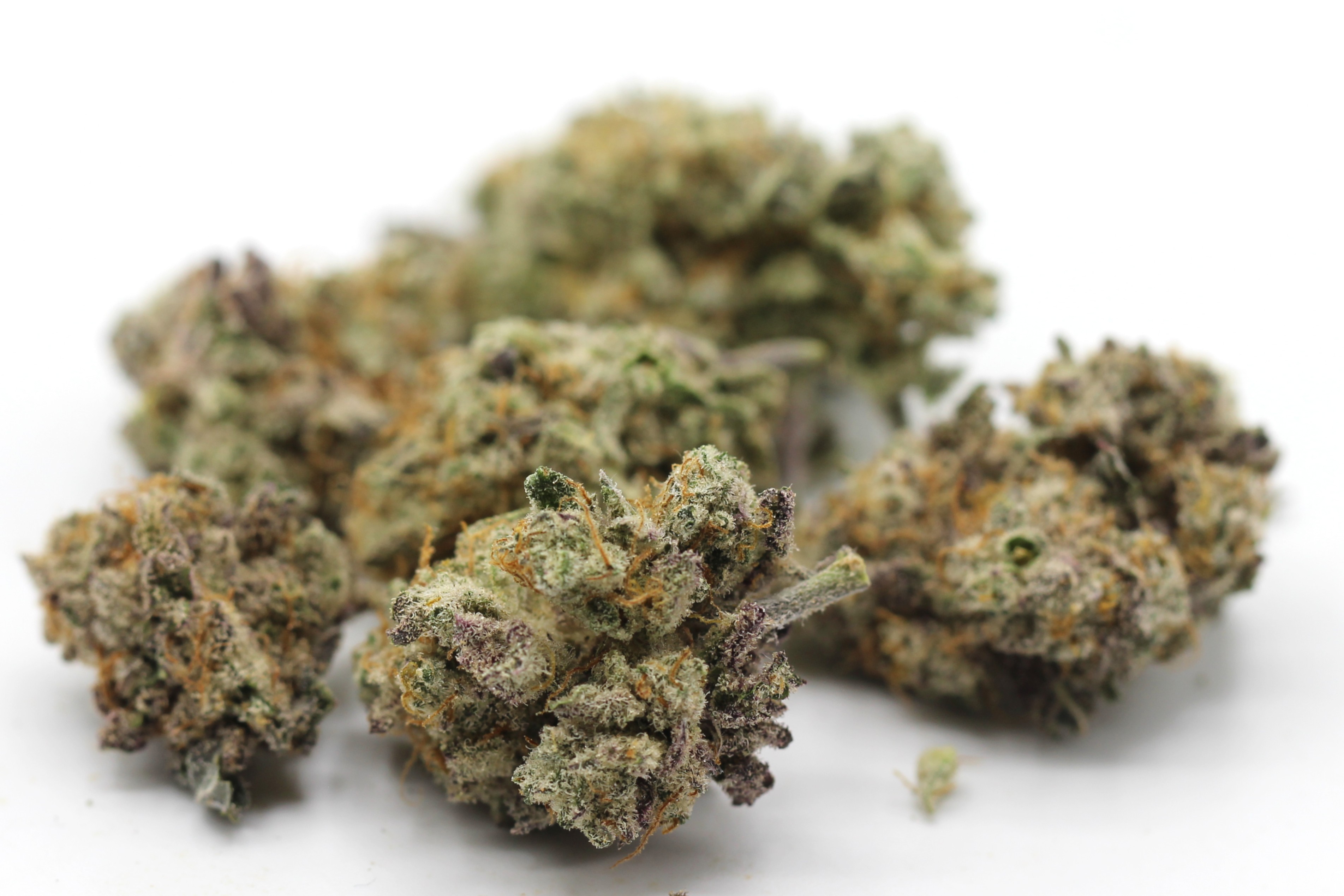 Cookies and Cream Smalls (AAA) $3.36/gram - Image 2