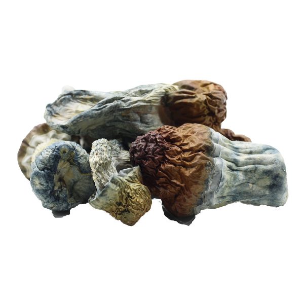 Blue Pulaski Shrooms