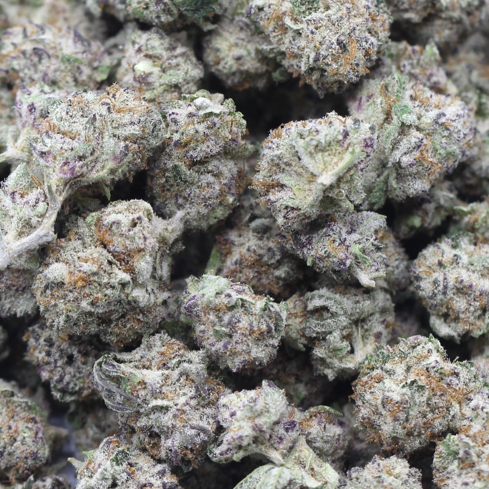 Pink Champagne Smalls (AAA+) $3.67/gram - Image 2