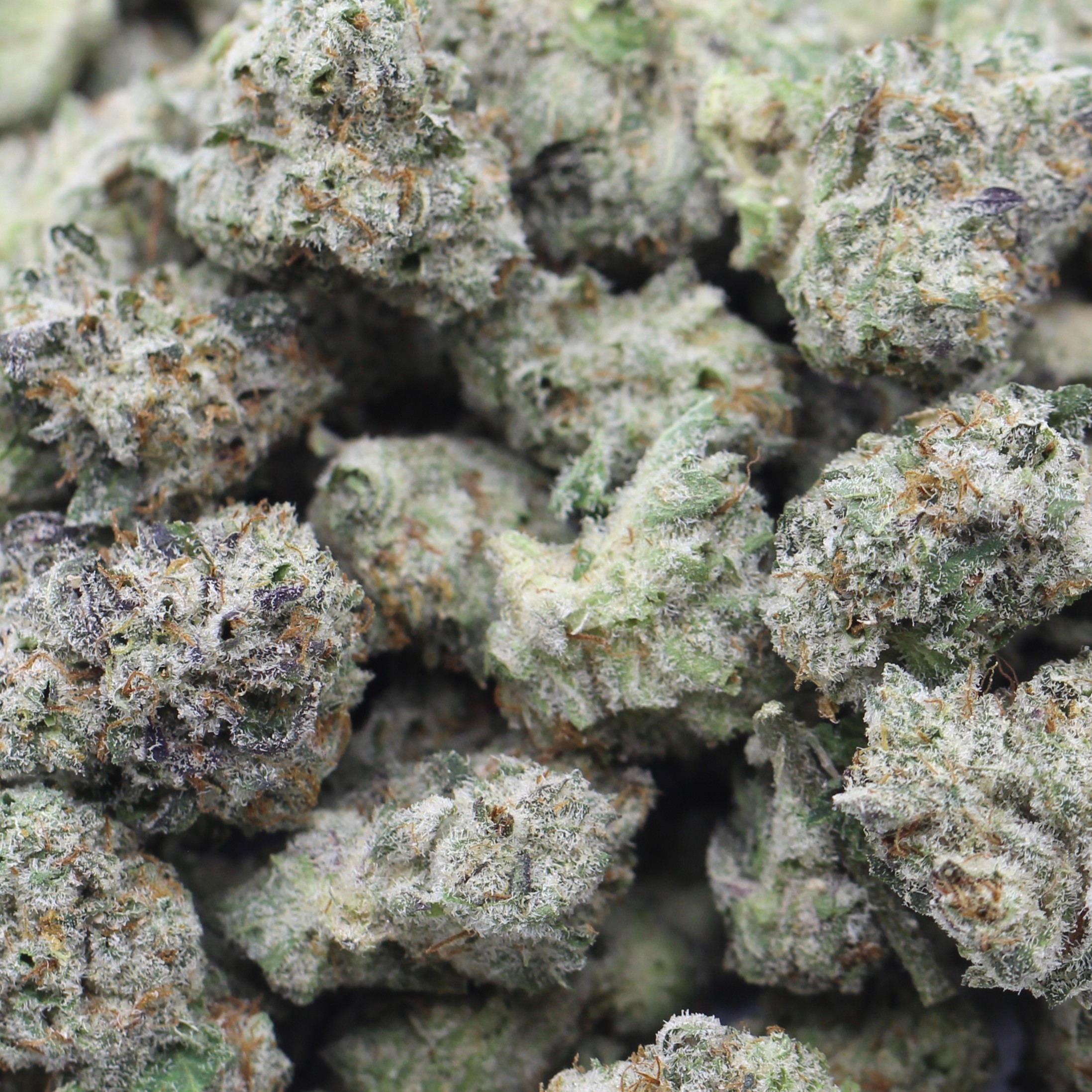 Space Cookies Smalls (AAAA) $4/gram - Image 2