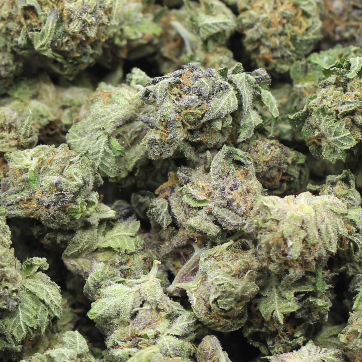 ATF Smalls (AAA) $3.79/gram - Image 2