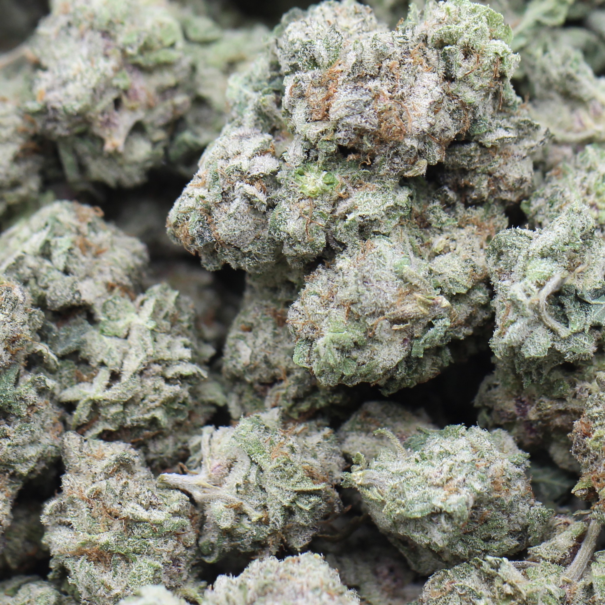 God'S Green Crack (AAAA) $4.14/gram - Image 2