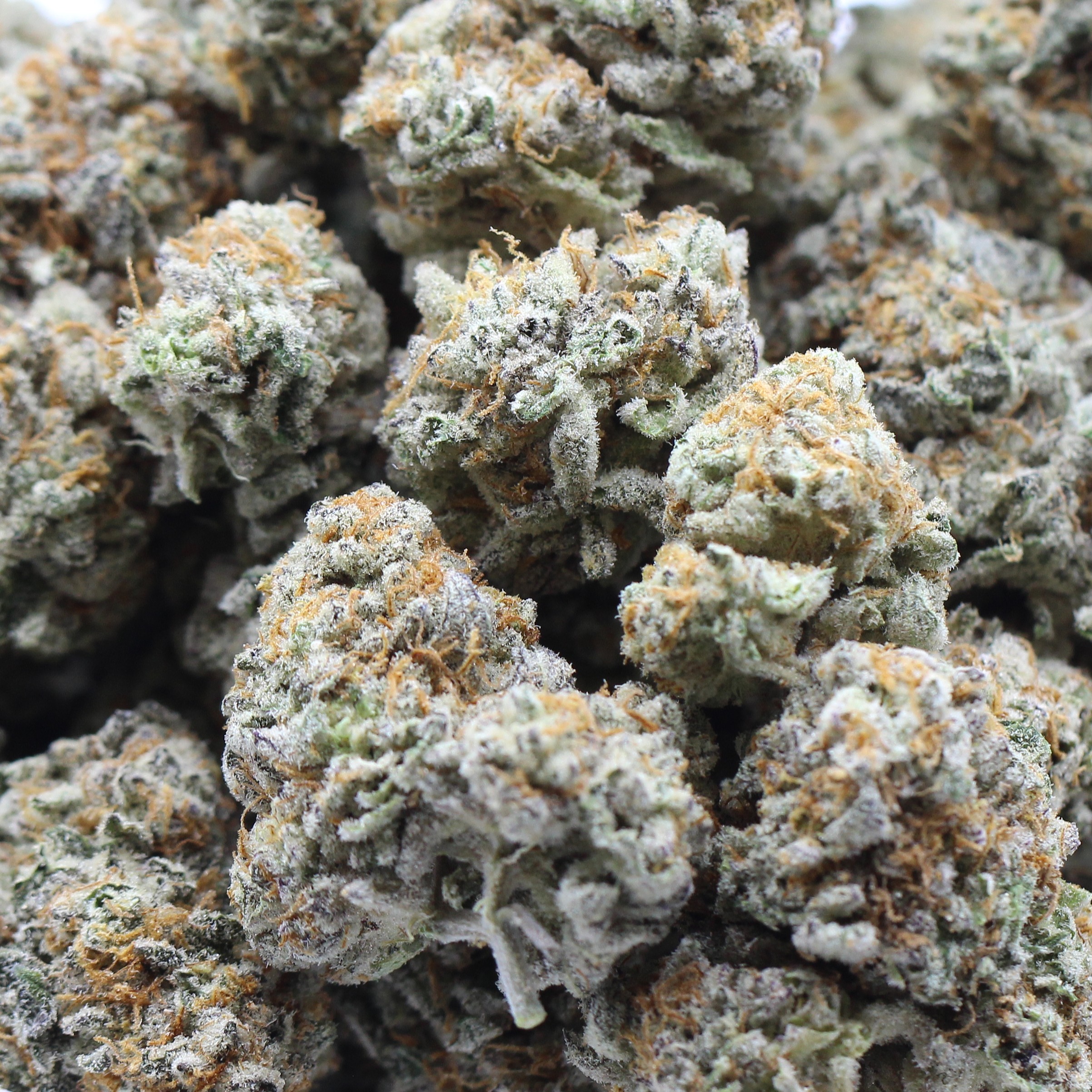 Lemon Meringue (AAA) $3.92/gram - Image 2