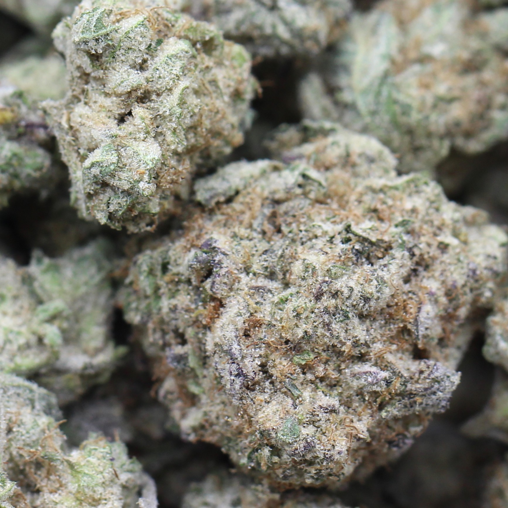 Cereal Milk Smalls (AAA) $3.35/gram - Image 2