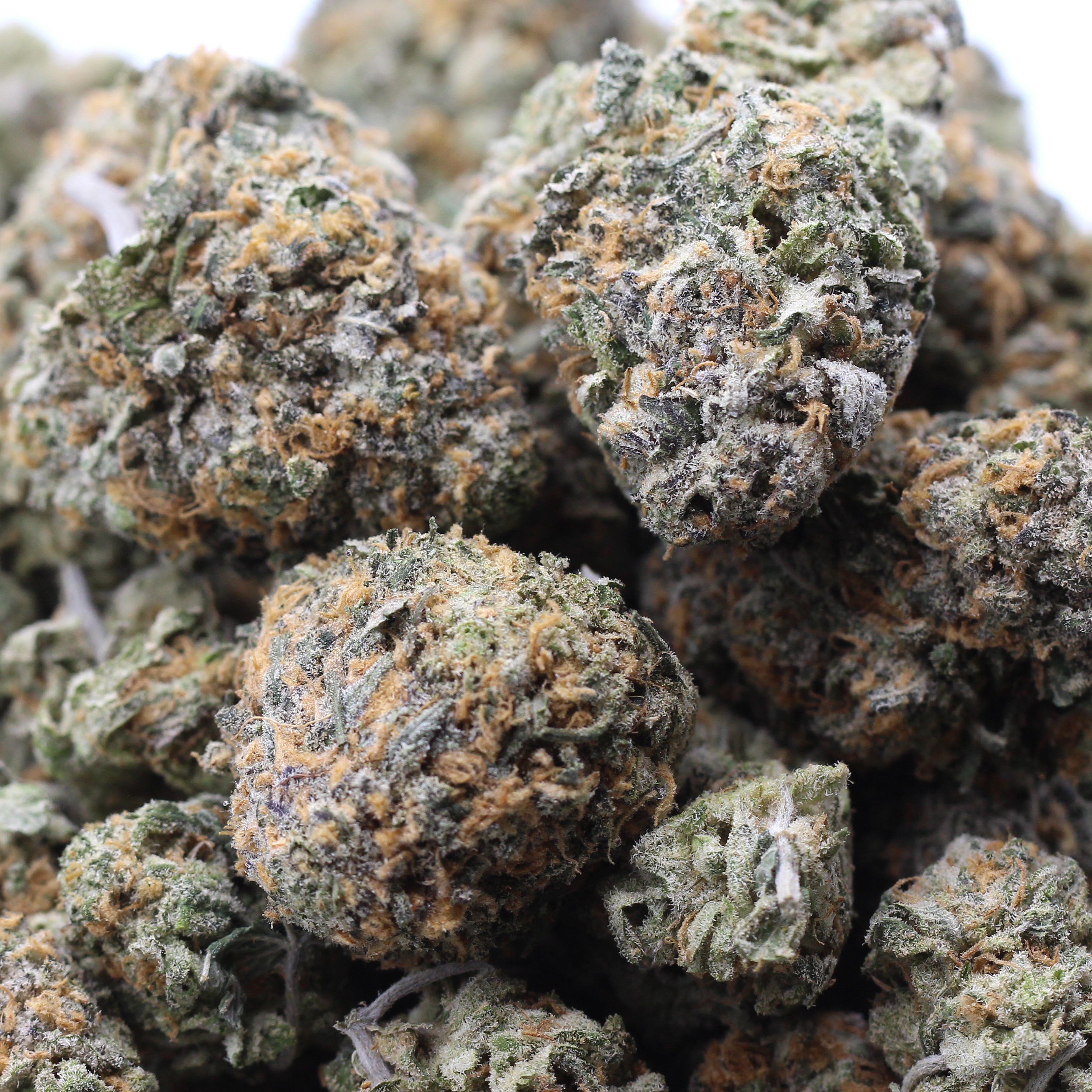 Blue Runtz (AA+) $3.17/gram - Image 2