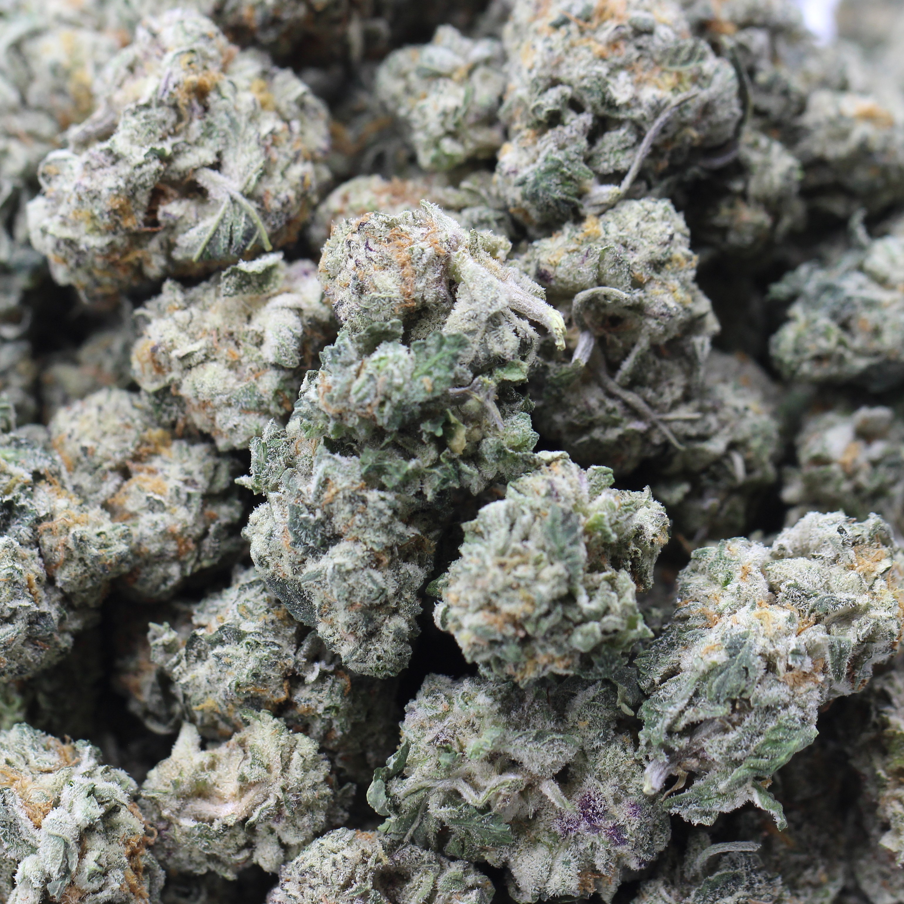 King Tut Smalls (AAA) $3.39/Gram - Image 2