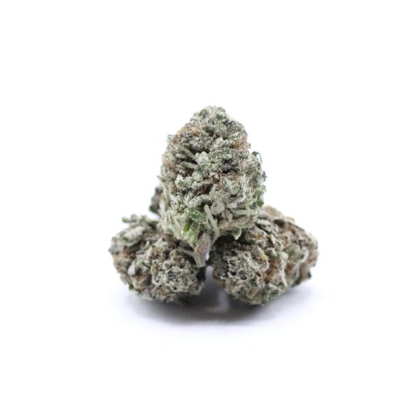 Purple Urkle (AA+) $3.17/gram