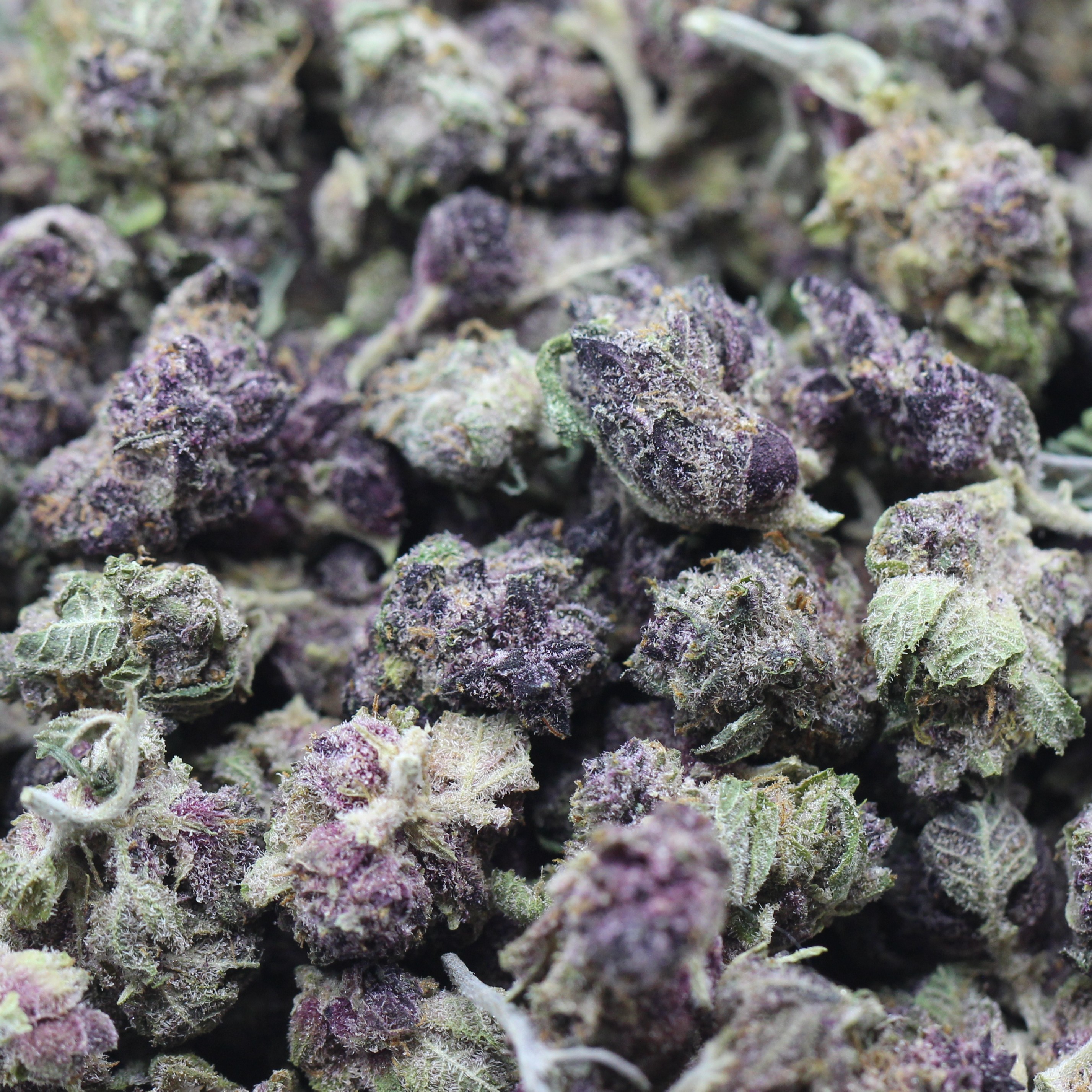 Black Diamond Smalls (AAA) $3.14/gram - Image 2