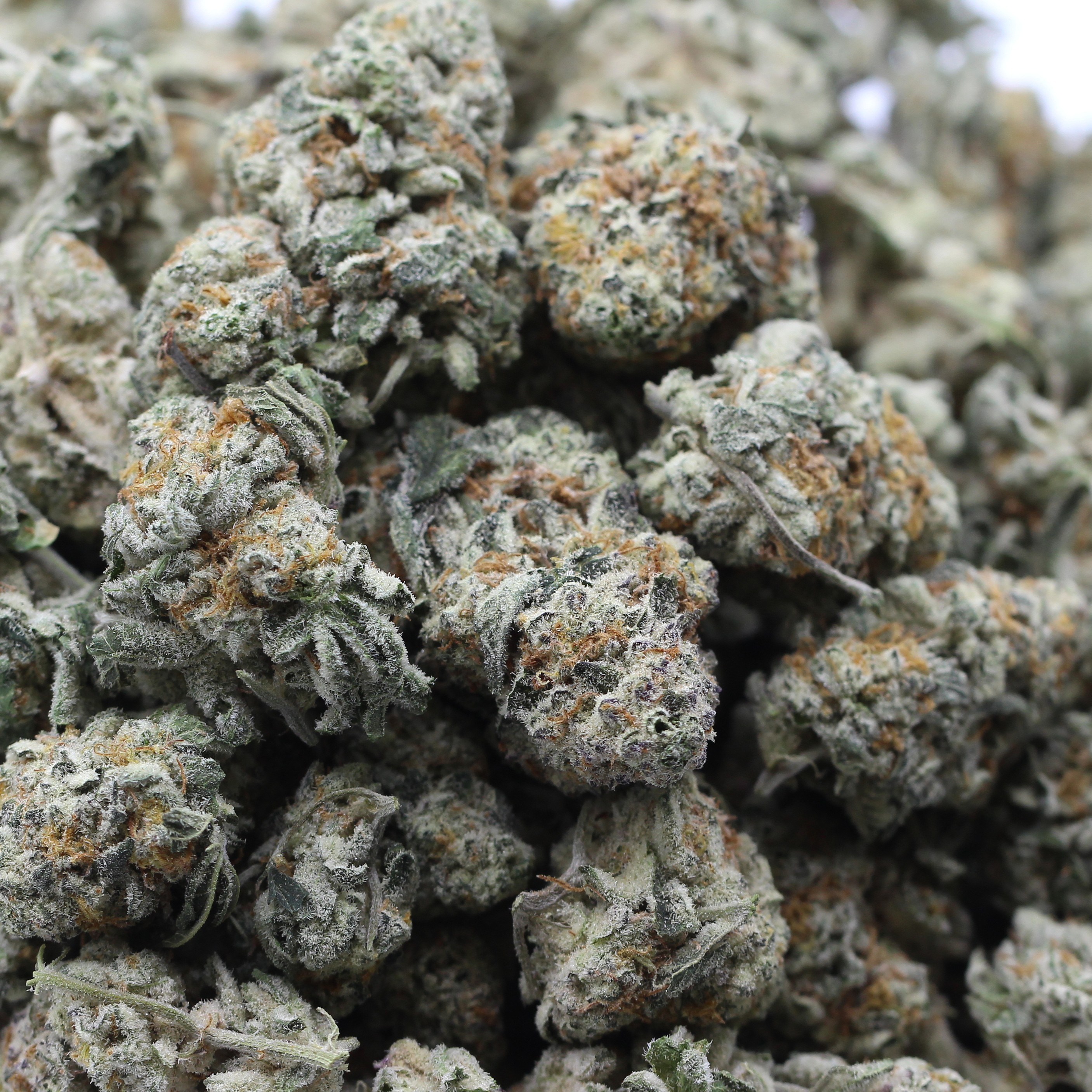 Frosted Fruit Cake (AA+) $3.17/gram - Image 2