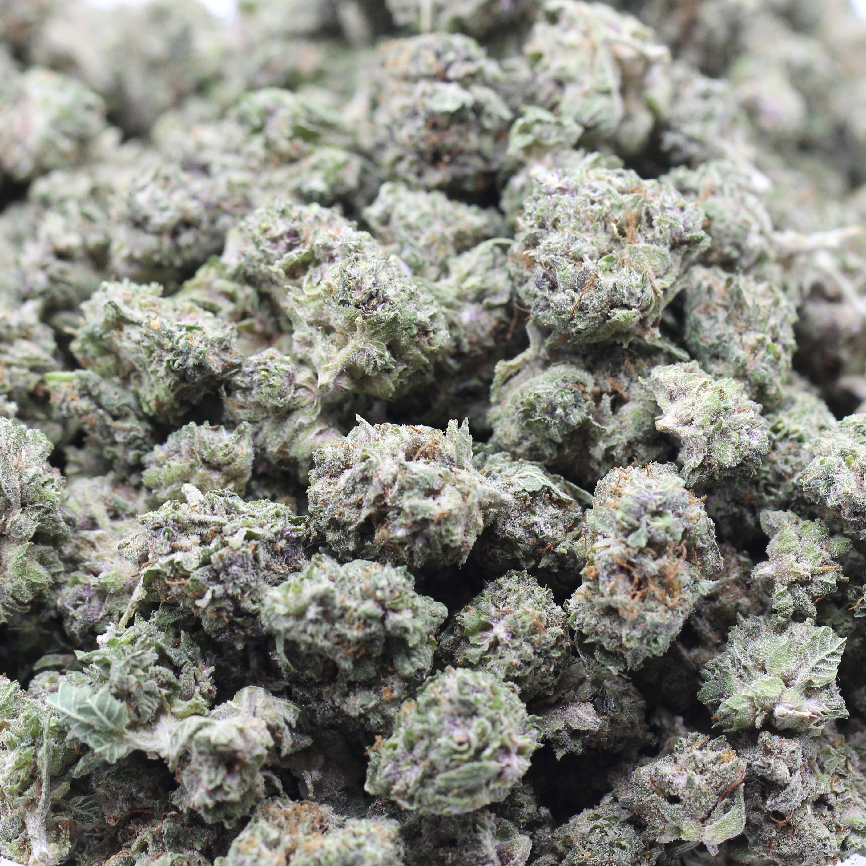 Incredible Hulk Smalls (AAA) $3.21/gram - Image 2