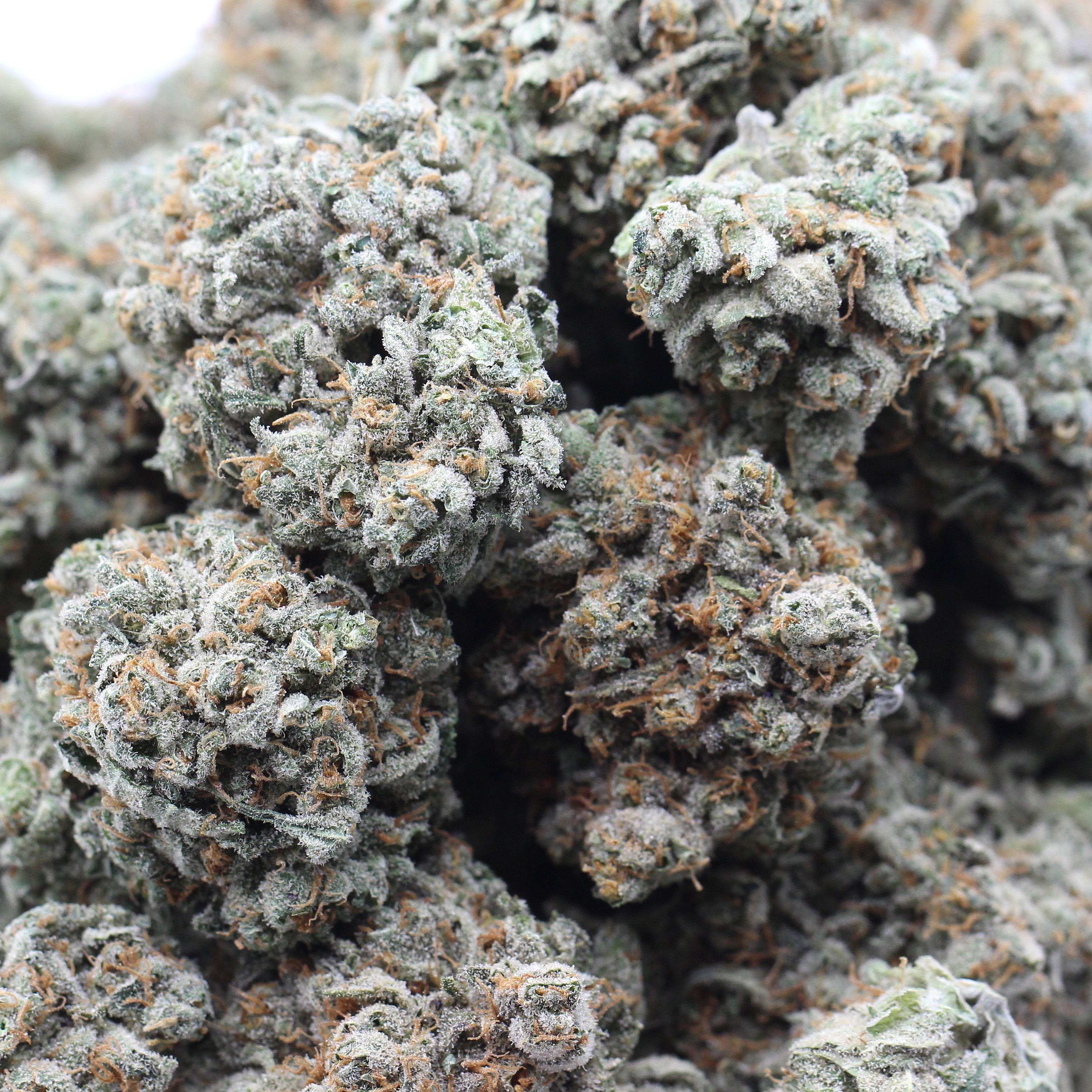 Moby Dick (AAAA+) $6.25/gram - Image 2