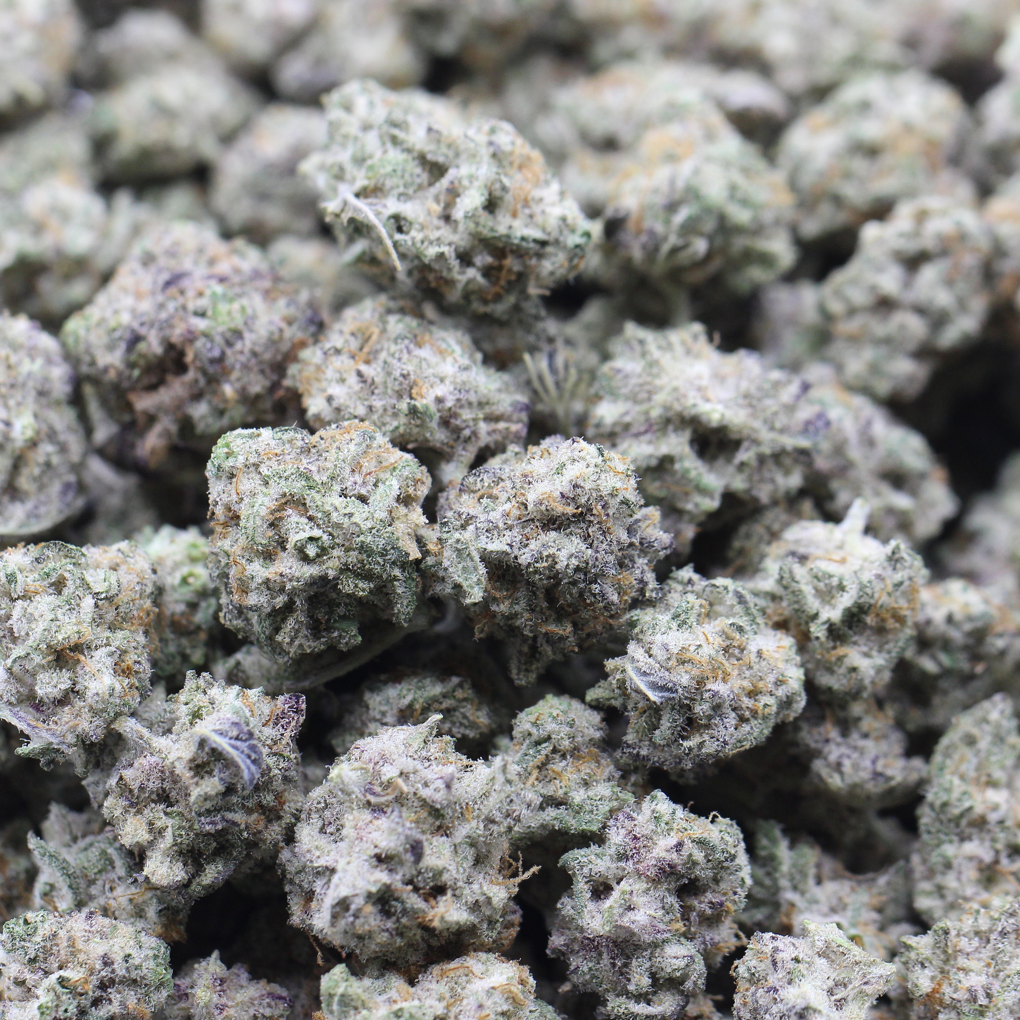 Pink Champagne Smalls (AAA+) $3.67/gram - Image 2