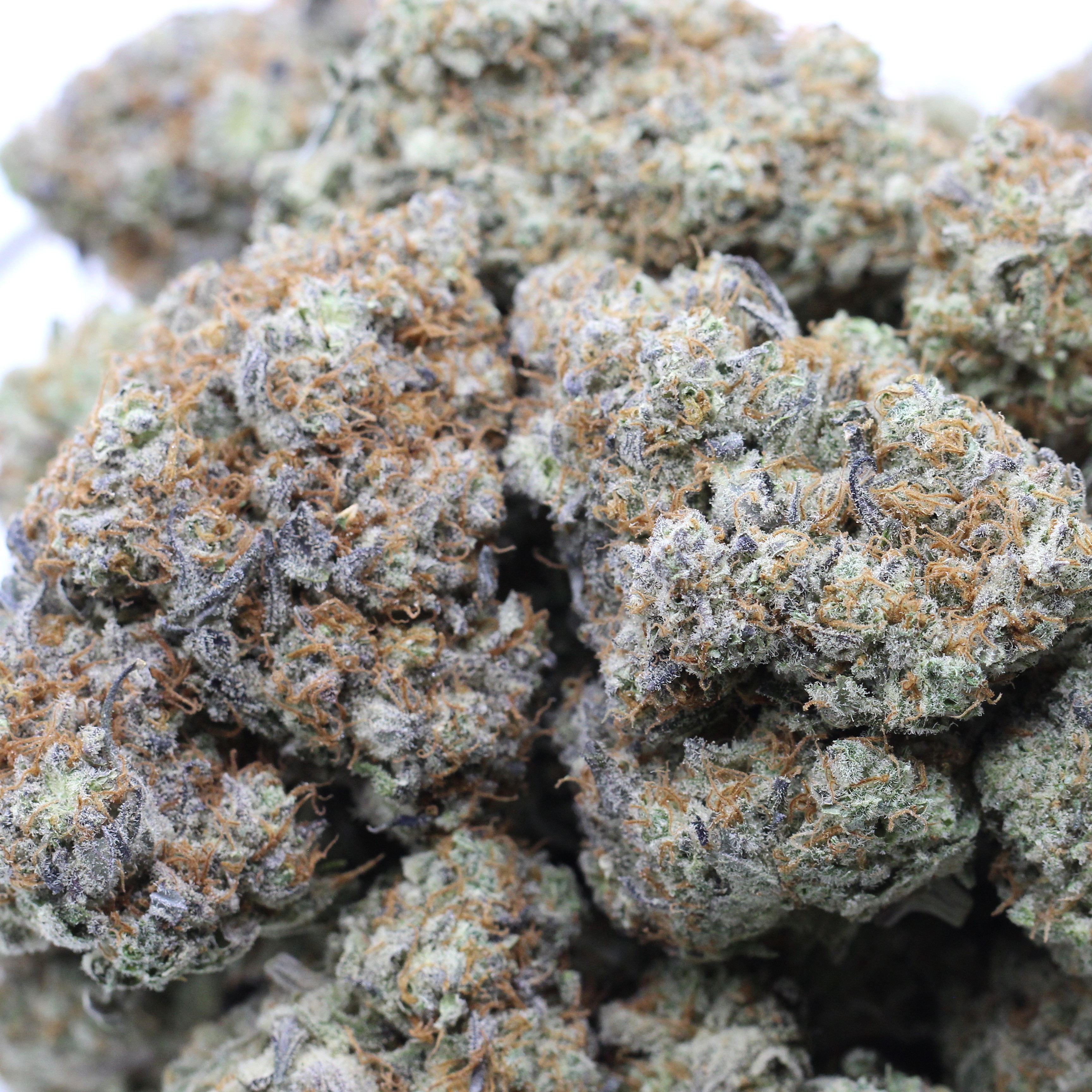Blue Dream (AAAA+) $6.25/gram - Image 2