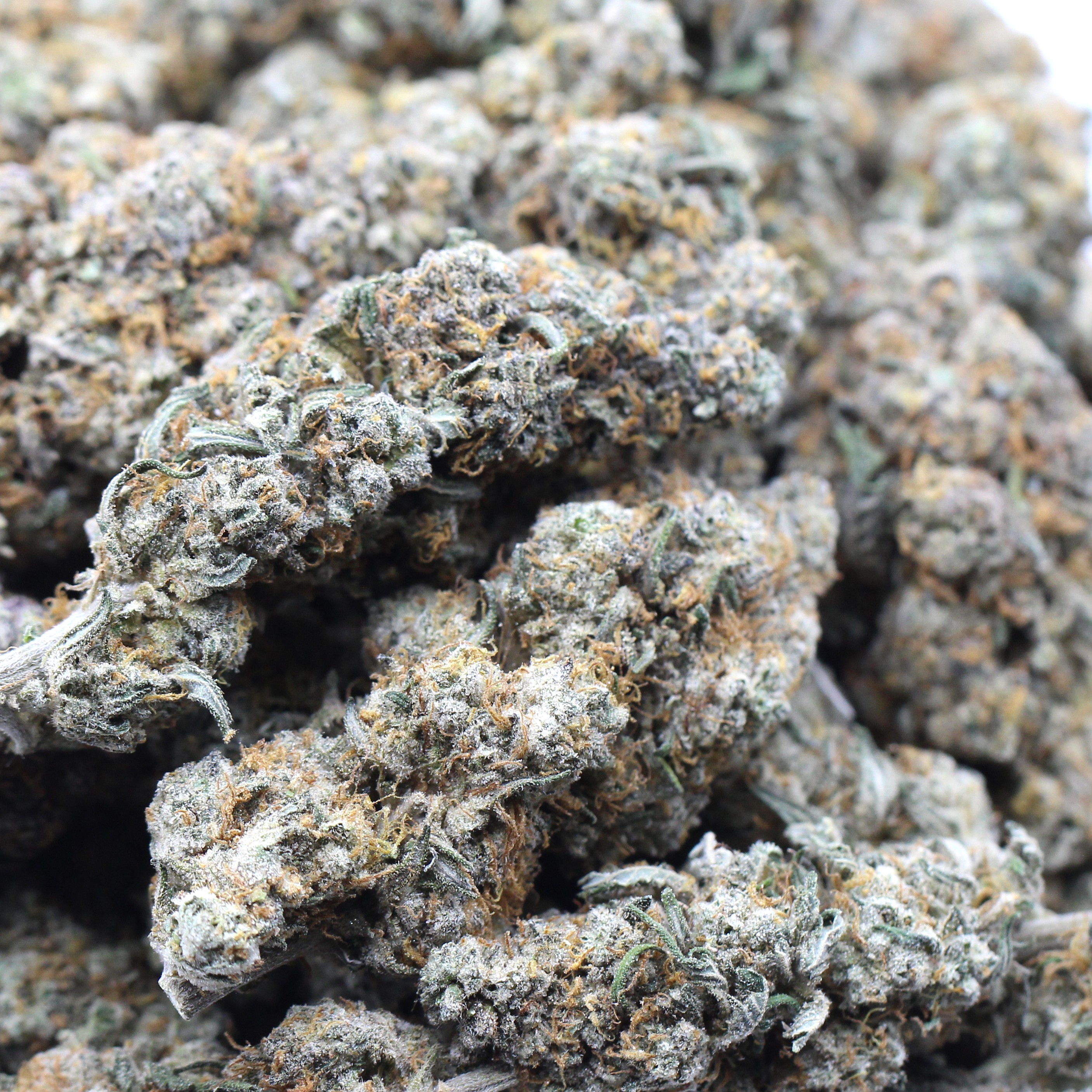 Chem Cookies (AA+) $3.17/gram - Image 2