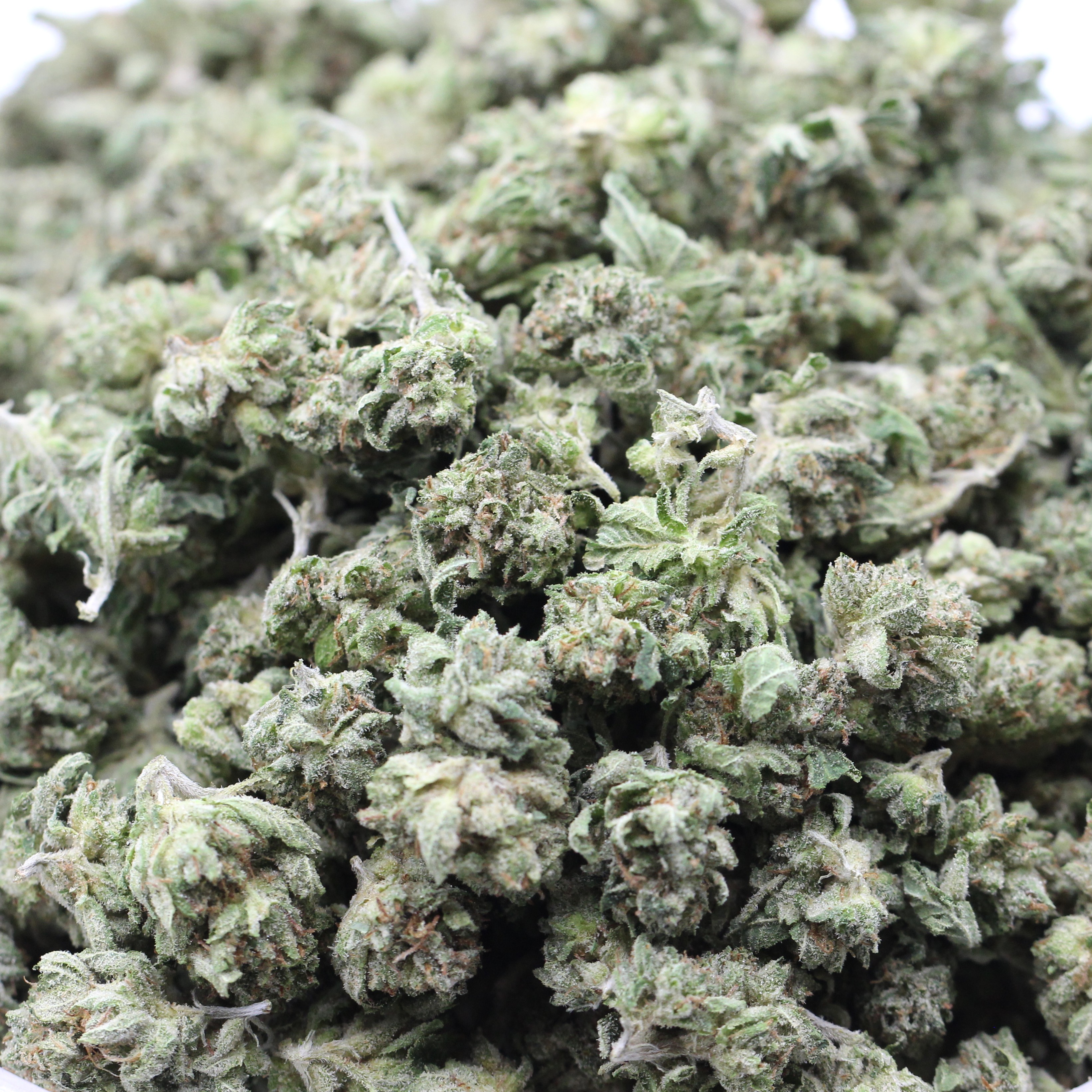 Blackberry Kush Smalls (AAA+) $3.78/Gram - Image 2